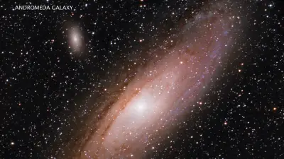 Skywatch: A crow, a cup and a water snake